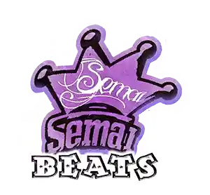 Picture for song 'Semai Beats - Trouble' by artist 'Semai Beats'