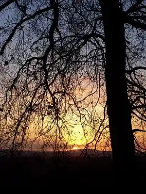 Picture for song 'Look In The Paper' by artist 'South Of The Wye'