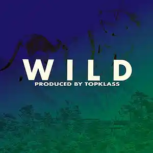 Picture for song 'Wild (prod by TopKlass) $25 Lease' by artist 'TopKlass Entertainment'