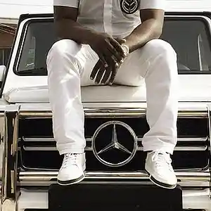 Picture for song 'back of the benz' by artist 'volcanomusic'