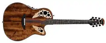 Picture for song 'While My Guitar Gently Weeps acoustic Ovation' by artist 'Dave Dunklee'