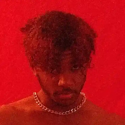 Artist picture