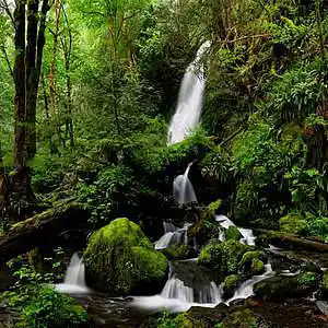 Picture for song 'LeMinhMan.com - Vang Dan Yan Cen Truong' by artist 'leminhman'