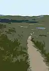 Song picture