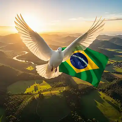 Picture for song 'BIRDS EYE VIEW BRAZIL' by artist 'SuaveUK'