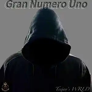 Picture for song 'Gran Numero Uno' by artist 'Teejays WRLD'