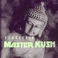 Picture for song 'MASTER KUSH' by artist 'TONEzEp1K Pro'