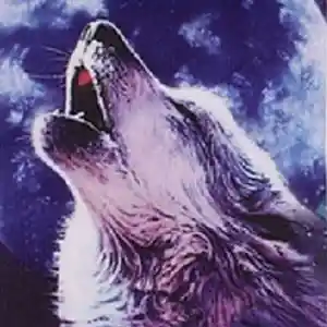 Picture for song 'Still Got The Blues' by artist 'Veli Brandau'