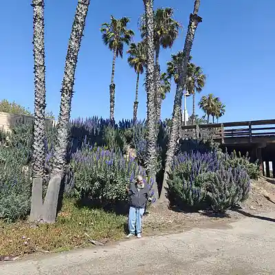 Picture for song 'GTR-LoopZ-BuZz-1A1' by artist 'Cylindrical Spirals'