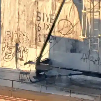 Picture for song 'Coo Coo Like the Clock' by artist 'Hoamless Delinquenze'