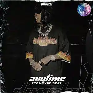 Picture for song 'Anytime (Tyga Type Beat)' by artist 'Dimsho Beats'