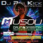 Picture for song 'Musou Drum & Bass Mix' by artist 'Dj Psi Kick'