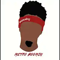 Picture for song 'metro boomin type beat' by artist 'edoubld'