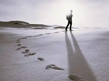 Picture for song 'Walking in the snow' by artist 'Gabriel 880'