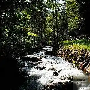 Picture for song 'river of tears' by artist 'Oson'