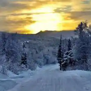 Picture for song 'Christmas' by artist 'The Great Constantini'