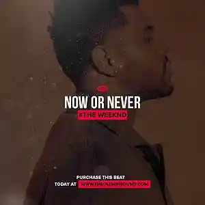 Picture for song 'Now Or Never' by artist 'THEOLLWIN'