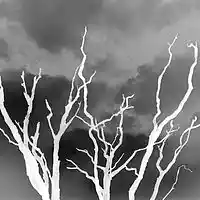 Picture for song 'Shiva' by artist 'xfBLH'