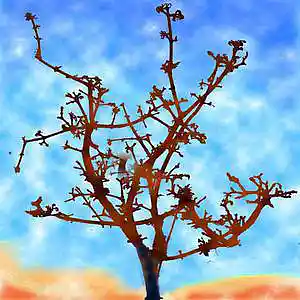 Picture for song 'There is a Tree' by artist 'zoneroom - ric kemper'