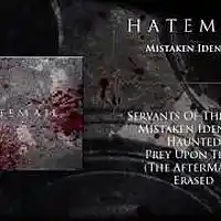 Picture for song '(Hatemail 2016) - Mistaken Identity' by artist 'Backyard Project Studio Cebu'