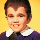 Picture for song 'Eddie Munster' by artist 'BlackiceEntt'