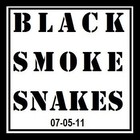 Picture for song 'Black Smoke Snakes (rough cut)' by artist 'Black Smoke Snakes'