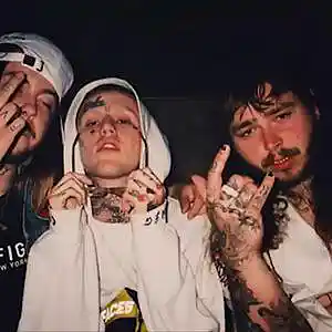 Picture for song 'Reborn (Post Malone X Lil Pe' by artist 'Bonnie Beats'
