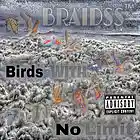 Picture for song 'Birds With No Limit' by artist 'BRAIDSS'