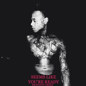 Picture for song 'Seems Like You're Read' by artist 'Brandon Green'