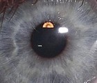 Picture for song 'Rhythm Of Consciousness - Instrumental' by artist 'DannyDep'
