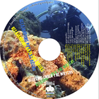 Picture for song '3.- IN THE CORAL REEF GARDEN' by artist 'DAVID BAYON'