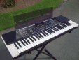 Picture for song 'JVC Keyboard Reggae Demo' by artist 'David Parry'