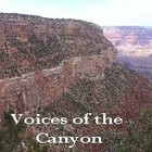 Picture for song 'Voices of the Canyon' by artist 'D E Farmer'