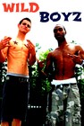 Picture for song 'wild boys ft. profit.mp3' by artist 'DIRK the GEEK'