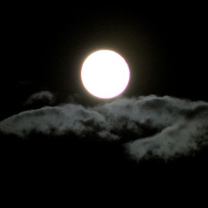 Picture for song 'THIS NIGHT (Dark Dreams 2006 - Remix)' by artist 'DreamSphere'