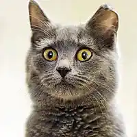 Picture for song 'it was good ' by artist 'Eggman909'