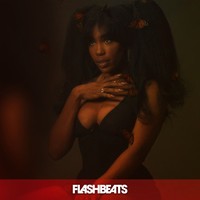Picture for song 'Take U There' by artist 'FlashBeats.net'