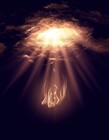 Picture for song 'Angel (2012)' by artist 'Gothel'