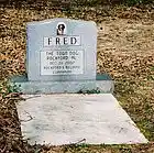 Picture for song 'WILL YOU REMEMBER ME' by artist 'Hiphop-mulisha'