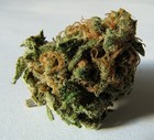 Picture for song 'Puffin On Live' by artist 'Hub City Souljaz'