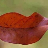 Picture for song 'Deep Floyd 292-You talking to me' by artist 'Jammer59'