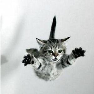 Picture for song 'Alla voy!!!' by artist 'Jaume Areste'