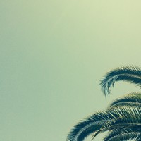 Picture for song '*NEW* No Matter What (Rum.TTWK) 66bpm ' by artist 'Jrum Beats'