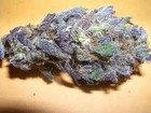 Picture for song 'Kush' by artist 'K Fox Beats'