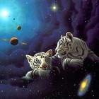 Picture for song '*NEW* Galaxy Tigers (FREE DOWNLOAD)' by artist 'Maddox BEATZ'