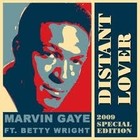 Picture for song 'DISTANT LOVER' by artist 'Mason Rodgers'