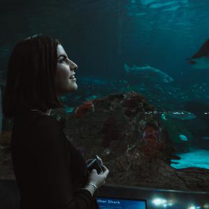 Picture for song 'Satisfy' by artist 'Mr Santu beatz'