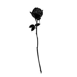Picture for song '*TRAP* Black Rose (Buy 2 Get 1 Free)' by artist 'Paperfall Bros'