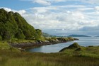 Picture for song 'Padraig's Reel' by artist 'peter cree'