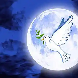 Picture for song 'We All Can Get Along (feat. Aira Winterland) [Rem' by artist 'Round The Globe'